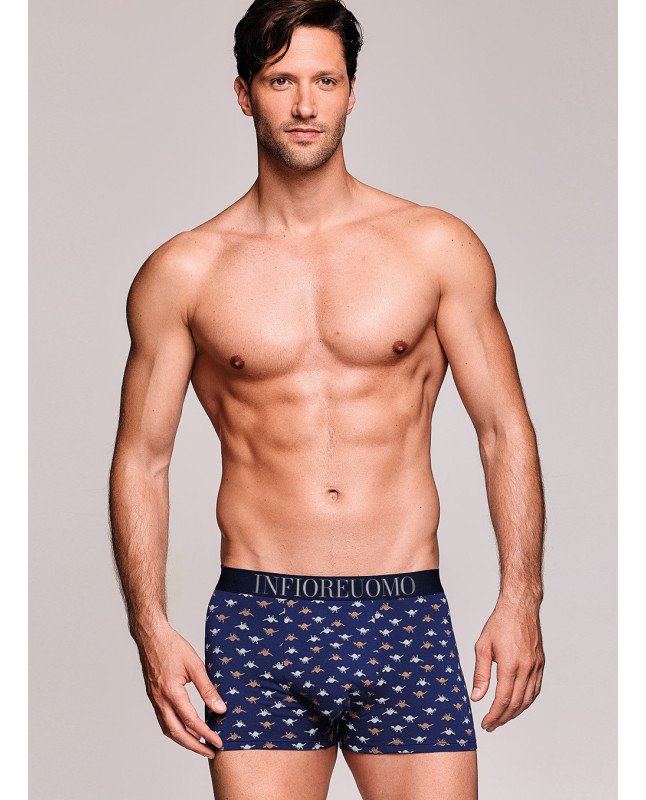 Boxer - Serie MONSTER