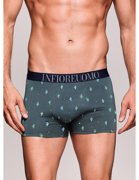 Boxer - Serie ARIZONA